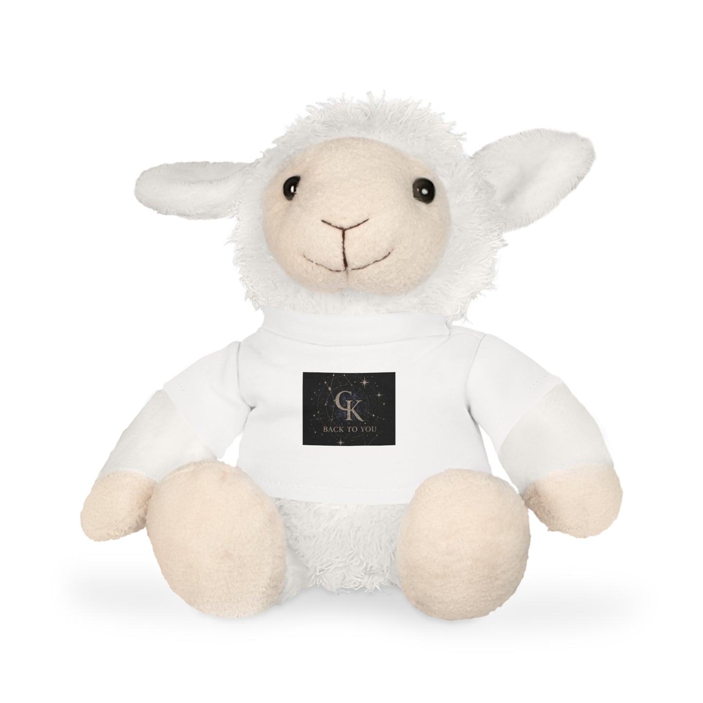 Calvin Kai "Back to you" Teddy Bear Plush w/ T‑Shirt