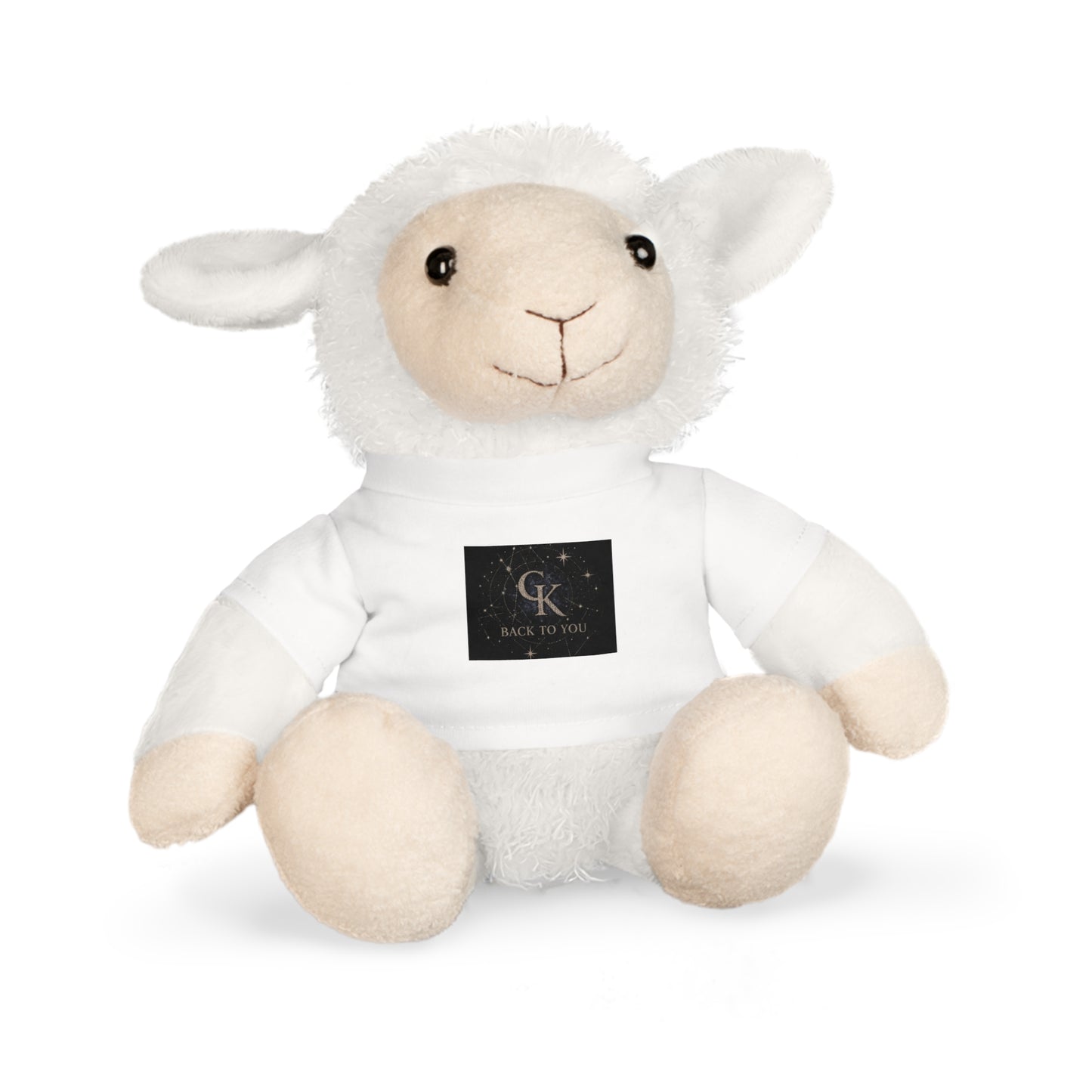 Calvin Kai "Back to you" Teddy Bear Plush w/ T‑Shirt