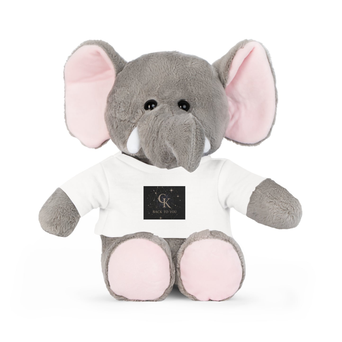 Calvin Kai "Back to you" Teddy Bear Plush w/ T‑Shirt