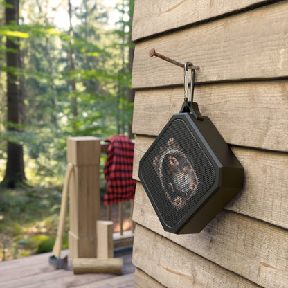 Calvin Kai "Come Home" "The Cure" Collectible Bluetooth Outdoor Speaker